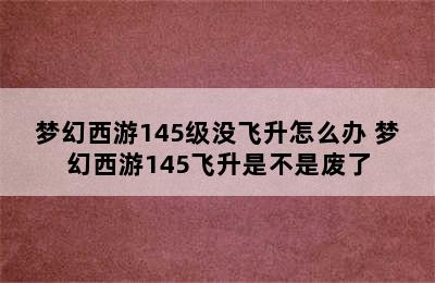 梦幻西游145级没飞升怎么办 梦幻西游145飞升是不是废了